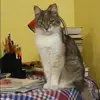 Отзыв от Фаина Исаева